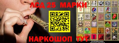 гидропоника Владимир