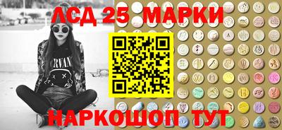 гидропоника Владимир