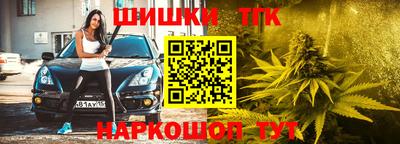 гидропоника Владимир