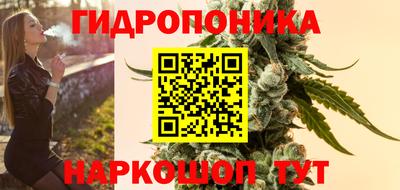 гидропоника Владимир