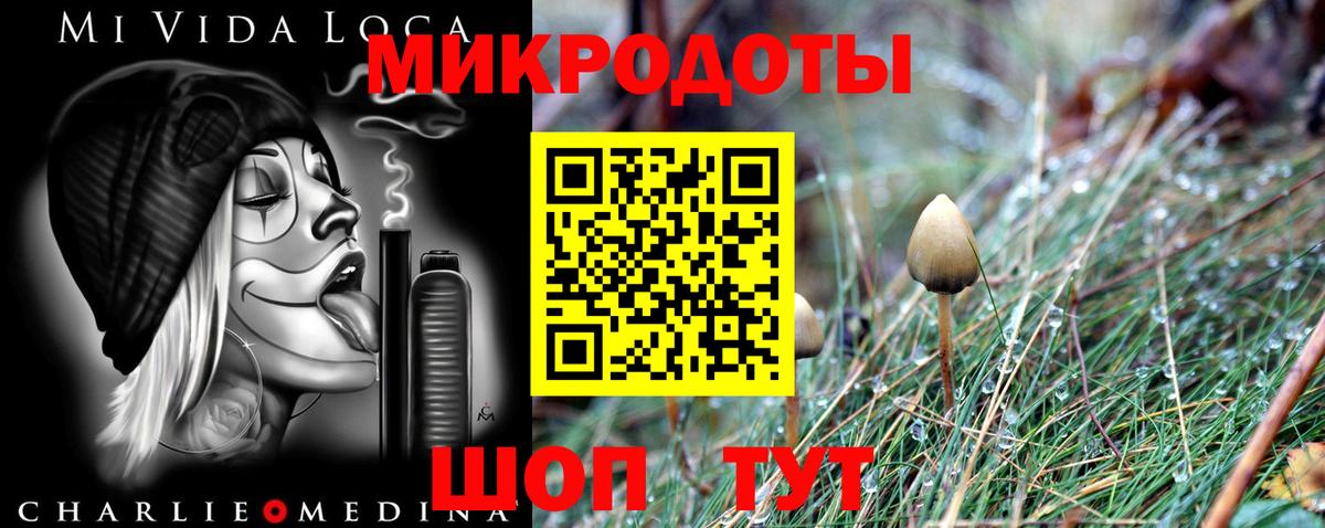 Галлюциногенные грибы GOLDEN TEACHER Лесной