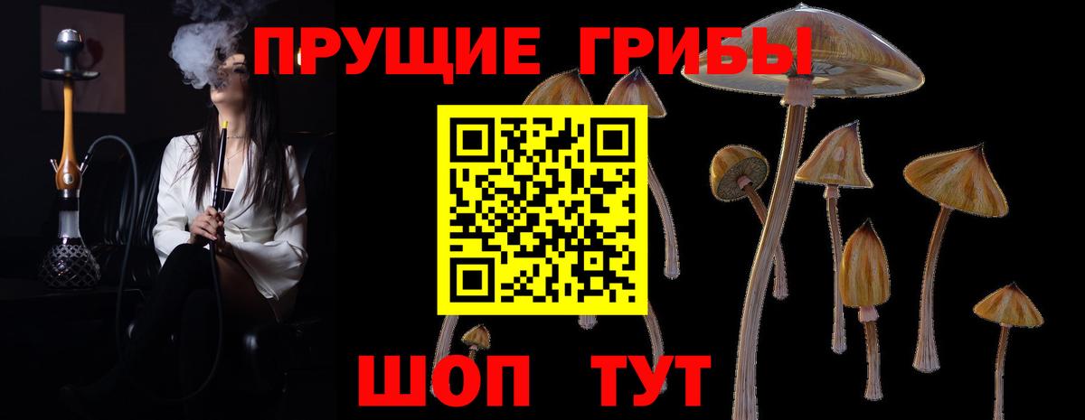 Галлюциногенные грибы мухоморы  Вход с VPN  Лесной  Галлюциногенные грибы мухоморы 