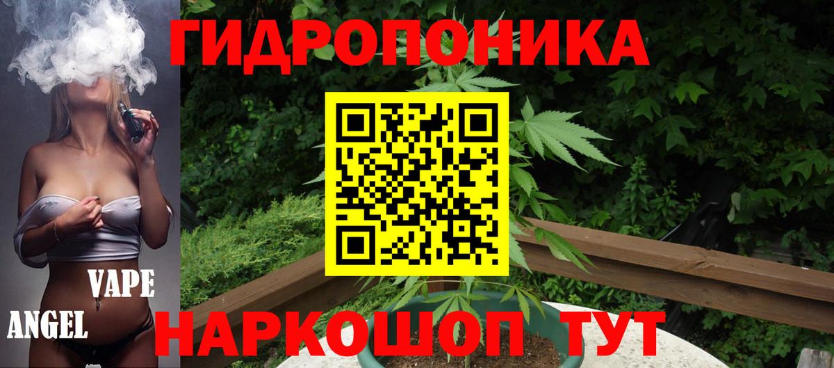 Бошки Шишки Bruce Banner  Бошки марихуана конопля  Марихуана Bruce Banner  Лесной  Каннабис план  Вход с VPN 